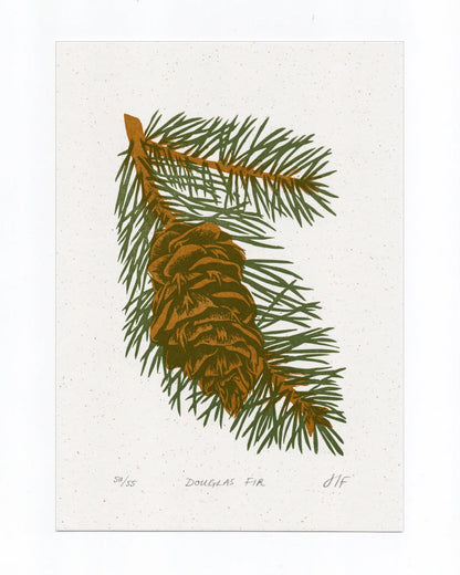 Douglas Fir Print