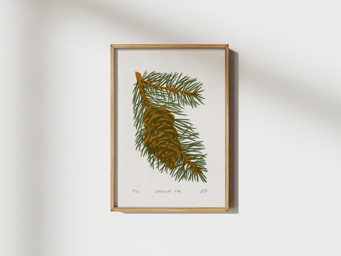 Douglas Fir Print