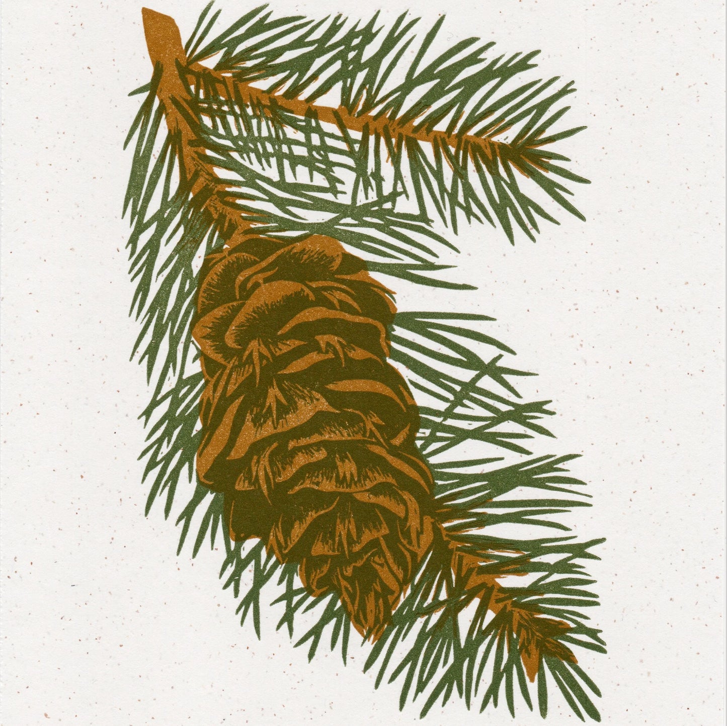 Douglas Fir Print