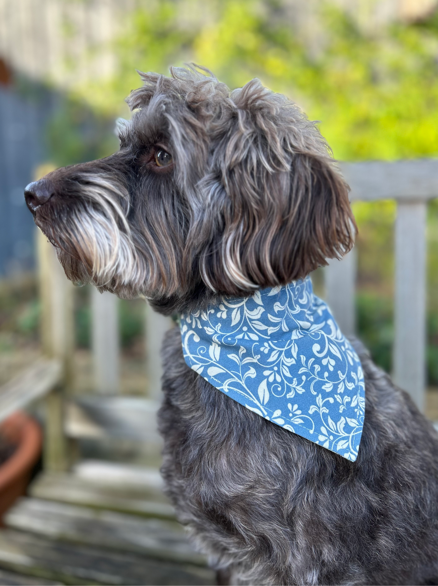 Beatrix/Blue Pattern Reversible Dog Bandana