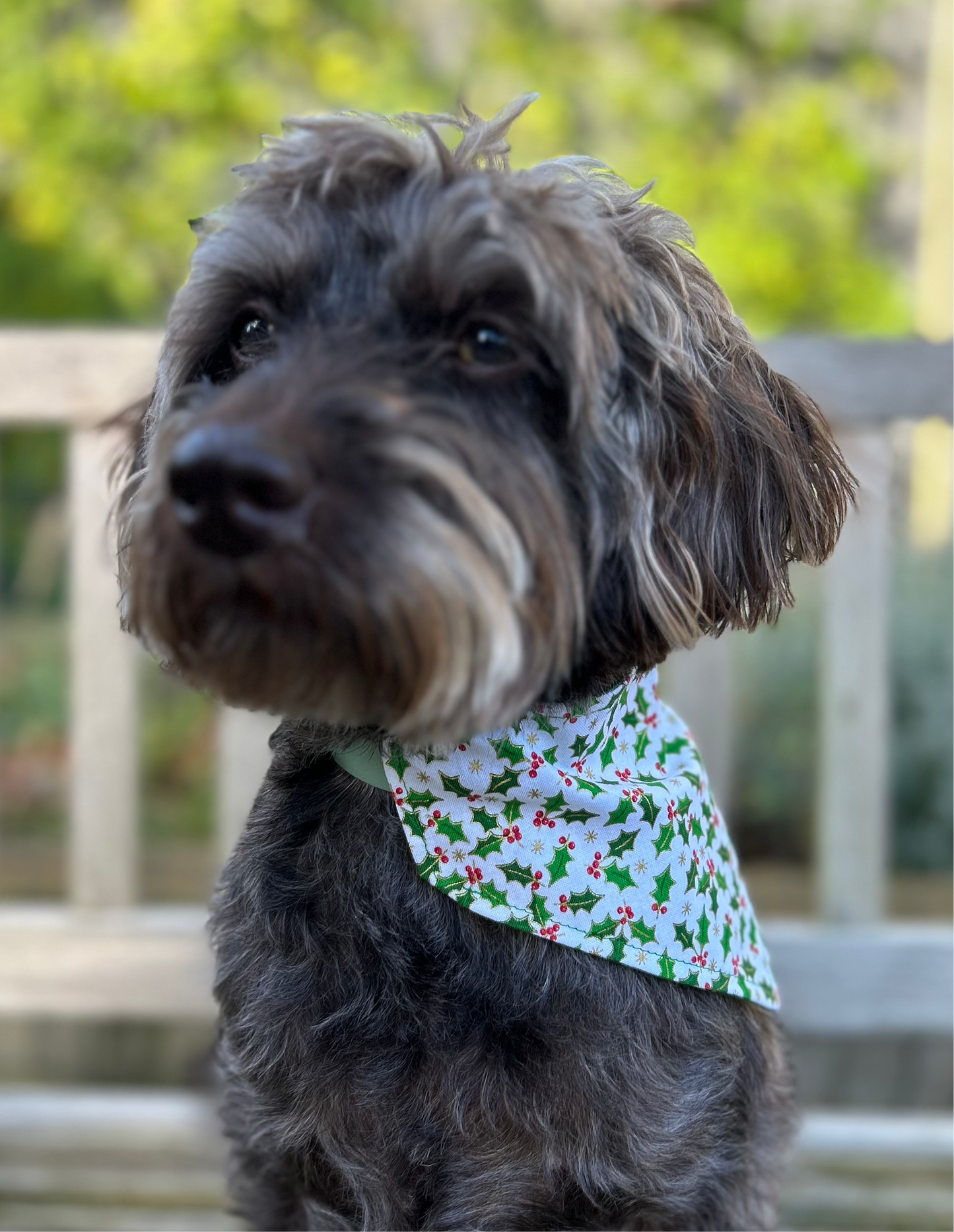 Tartan/Holly Reversible Dog Bandana