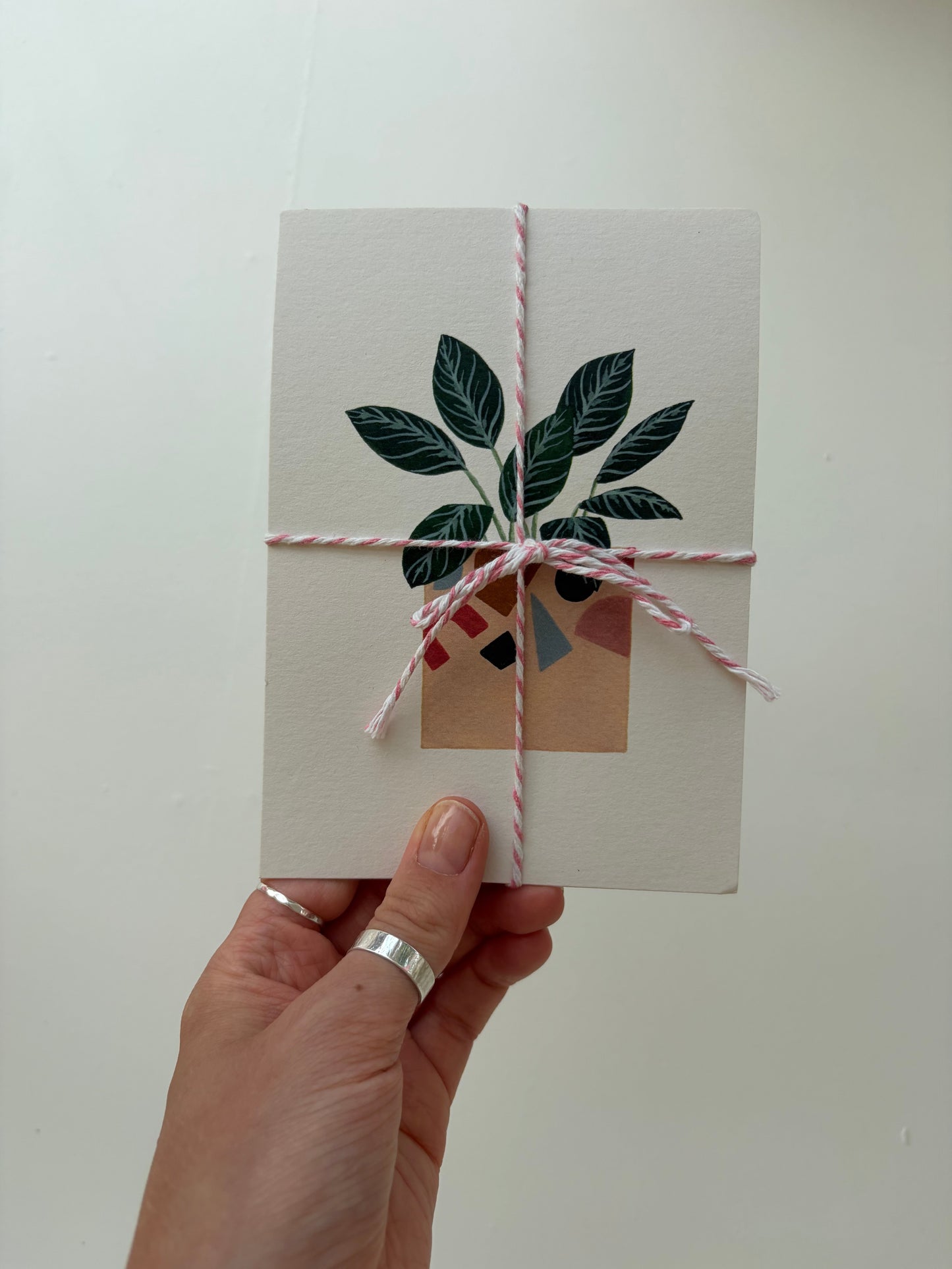 *Samples* Pack Of Three Plant Postcards
