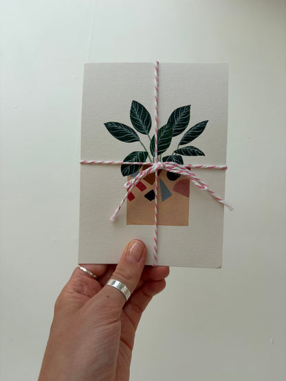 *Samples* Pack Of Three Plant Postcards