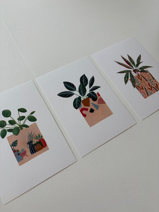 *Samples* Pack Of Three Plant Postcards