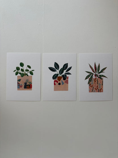 *Samples* Pack Of Three Plant Postcards