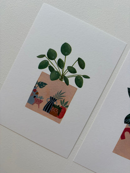 *Samples* Pack Of Three Plant Postcards