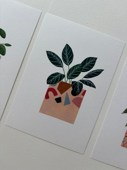 *Samples* Pack Of Three Plant Postcards