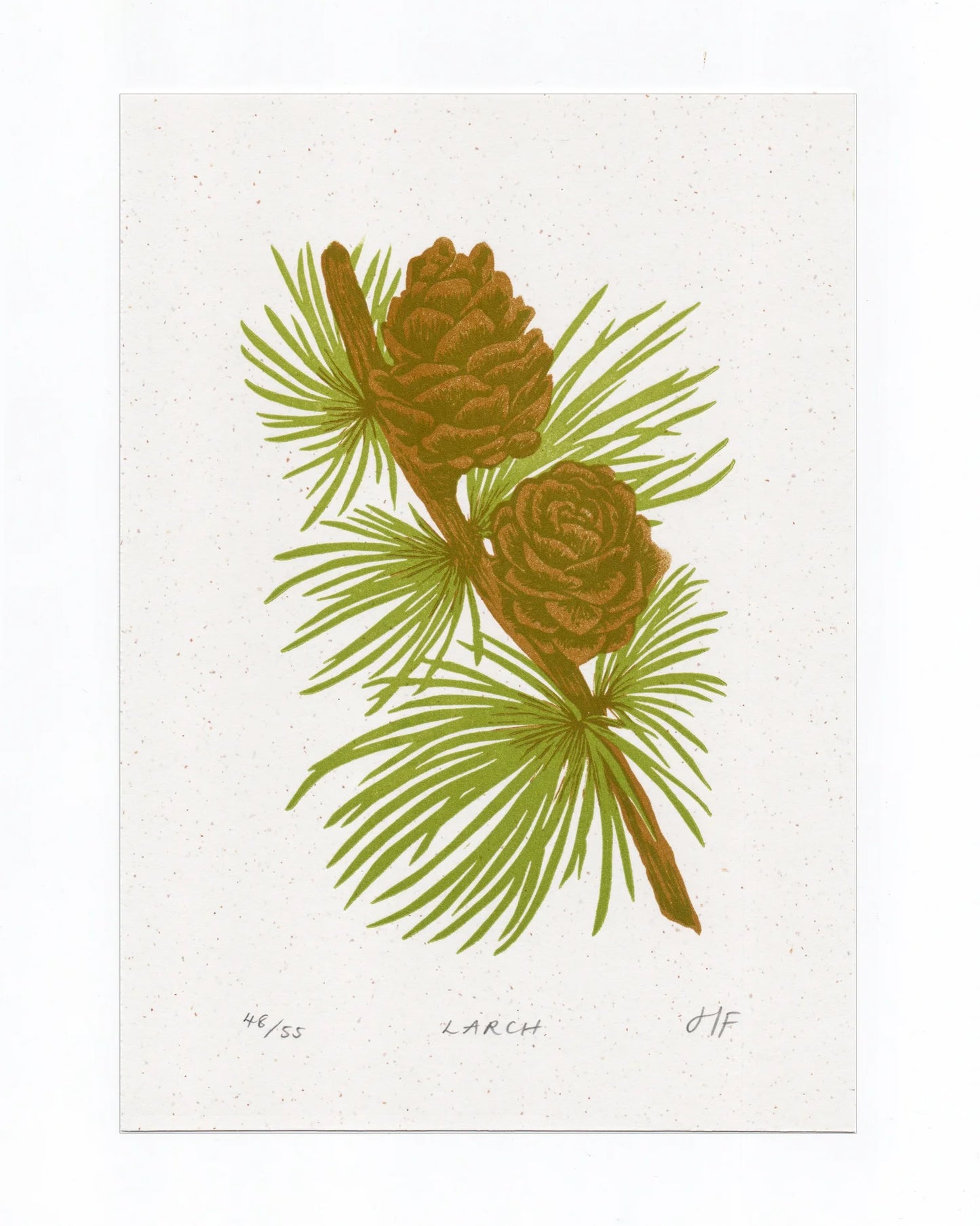 Larch Print