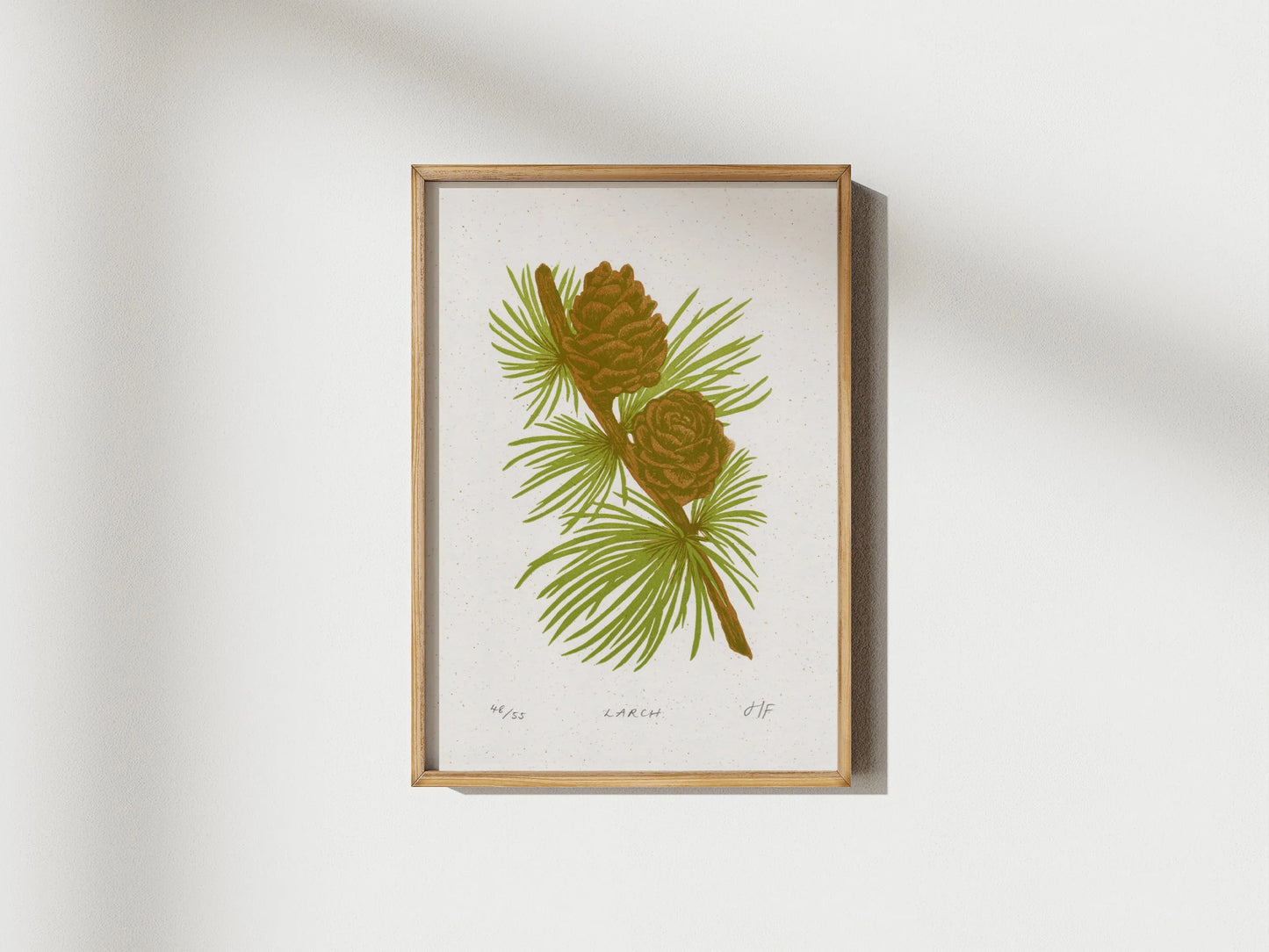 Larch Print