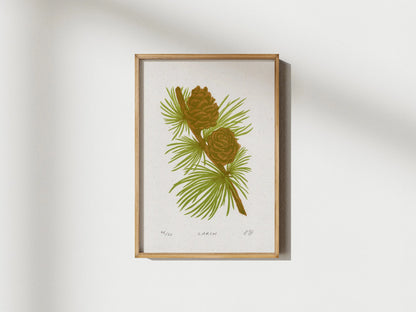 Larch Print