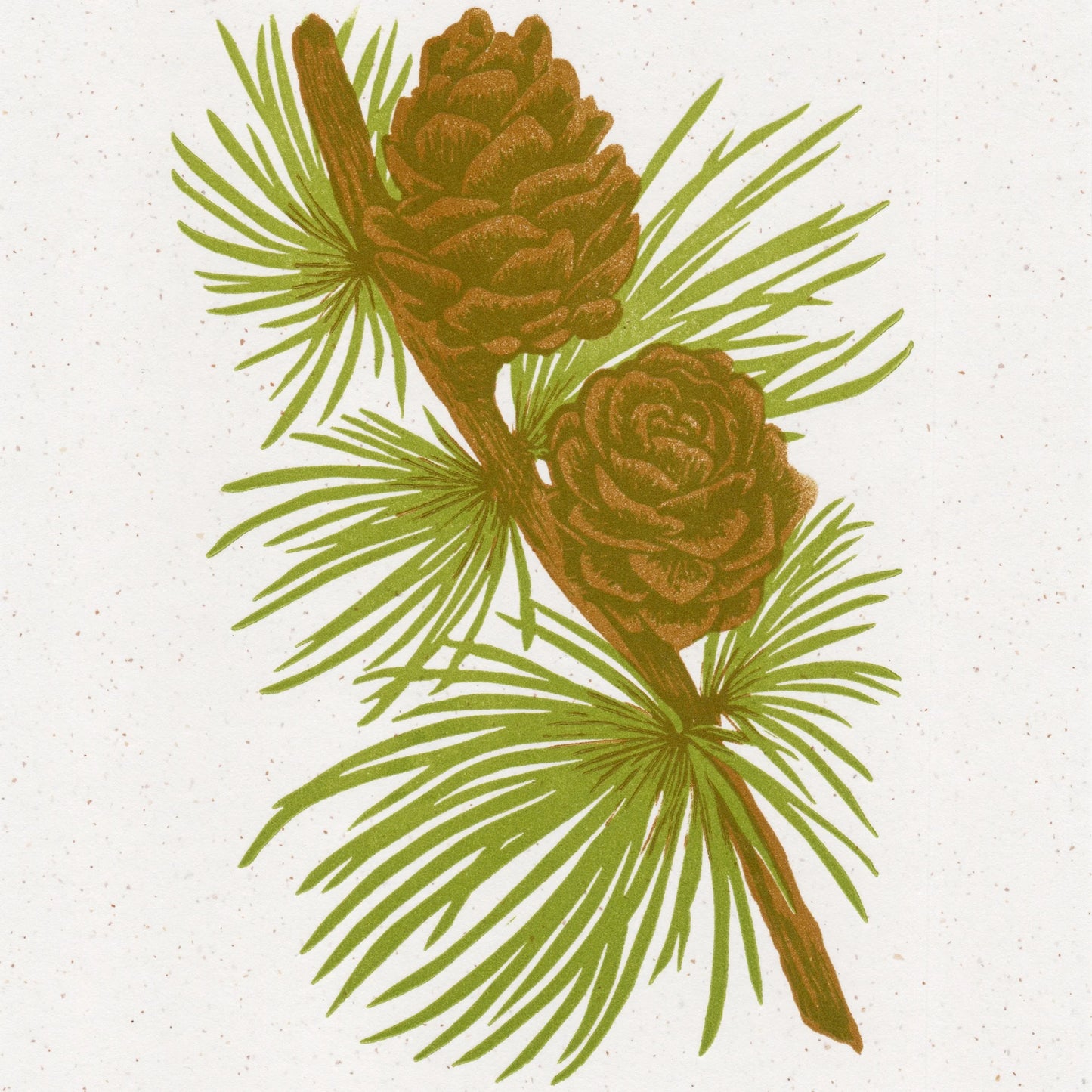 Larch Print