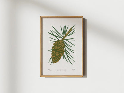 Scots Pine Print