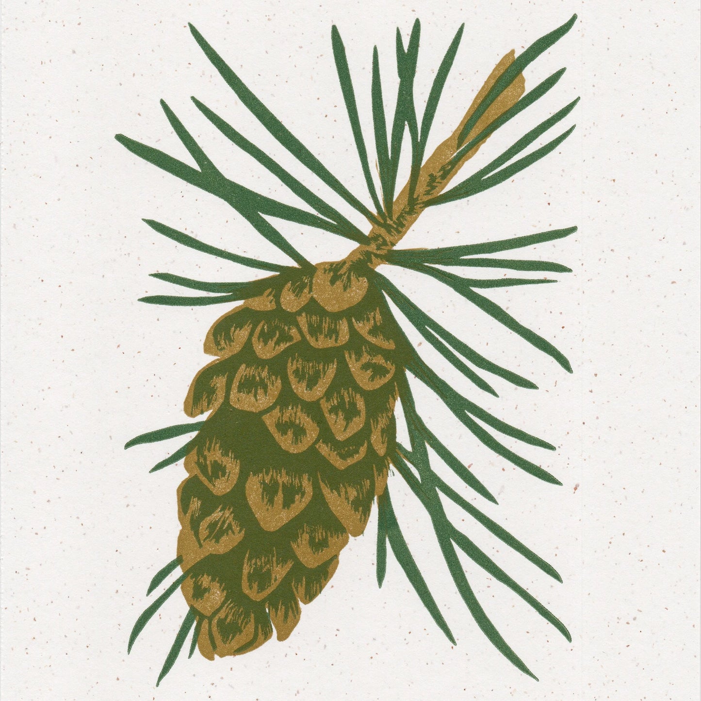 Scots Pine Print