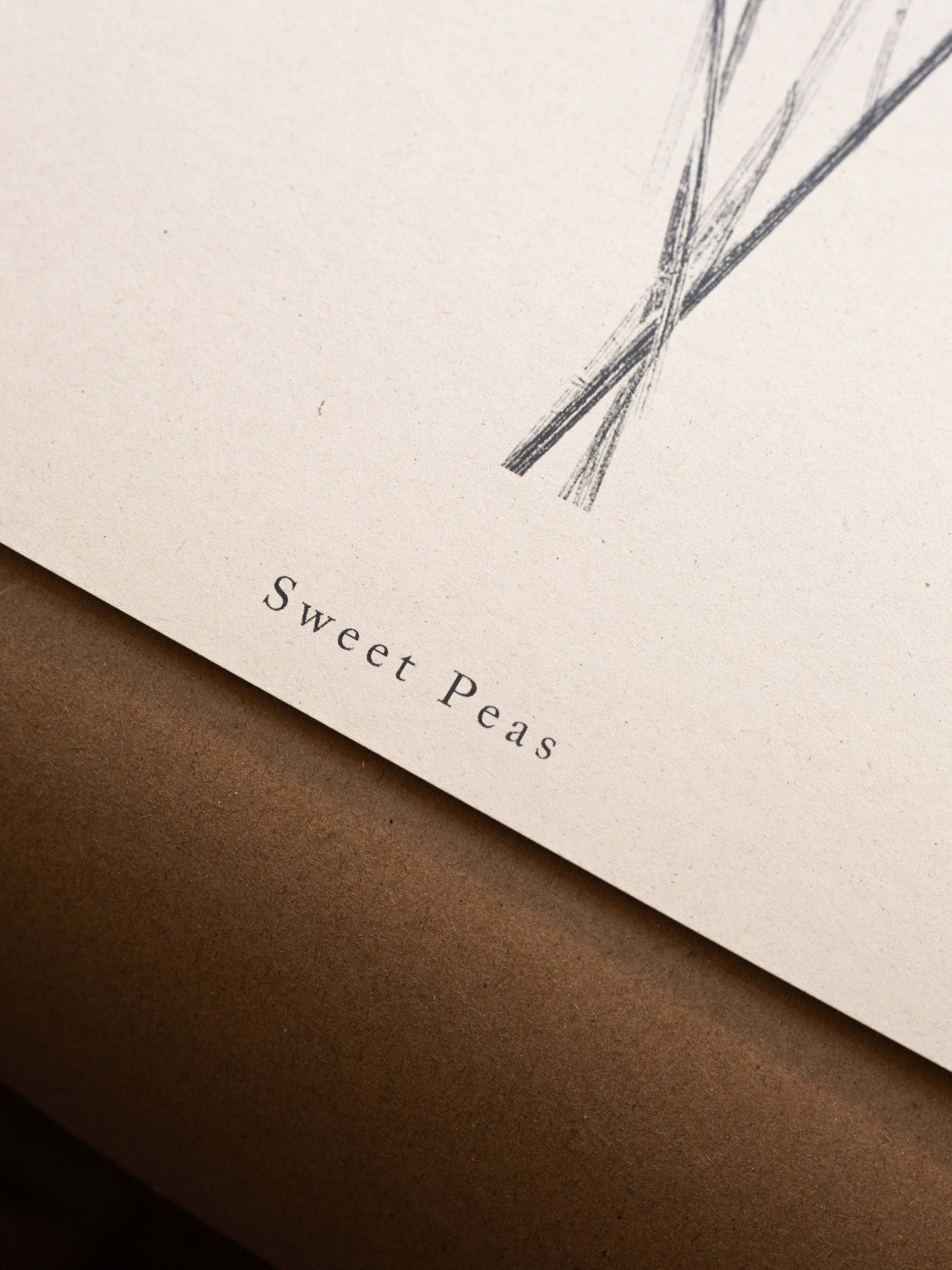 Sweet Peas A5 Botanical Art Print