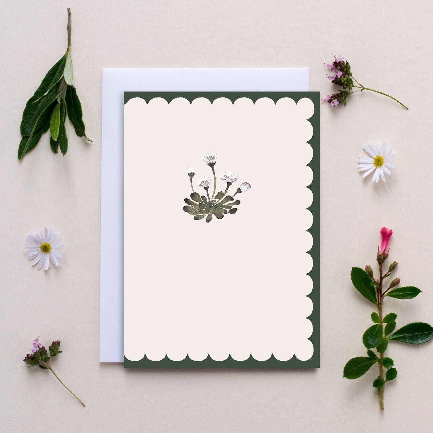 'Scallop Daisy' Card