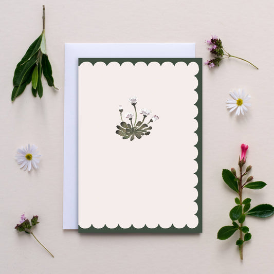 'Scallop Daisy' Card
