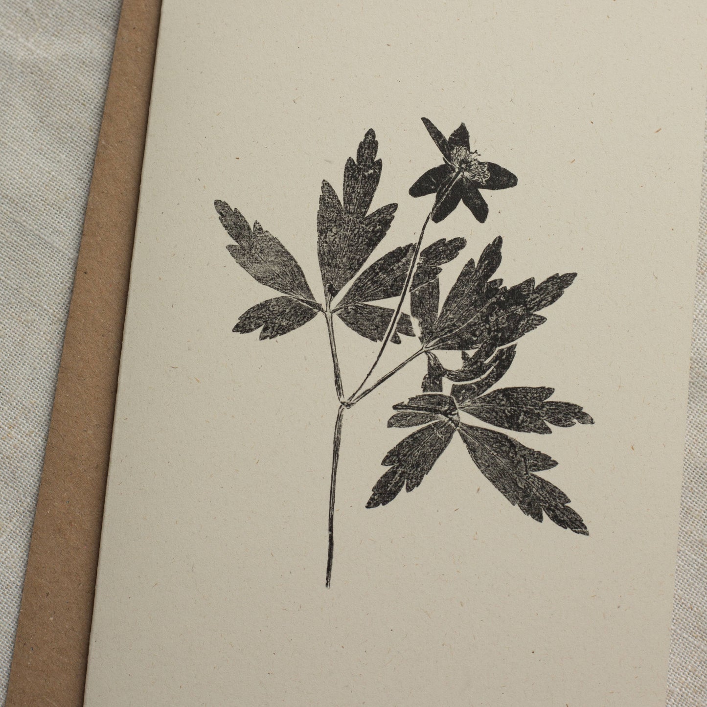 Wood Anemone Flower Greeting Card