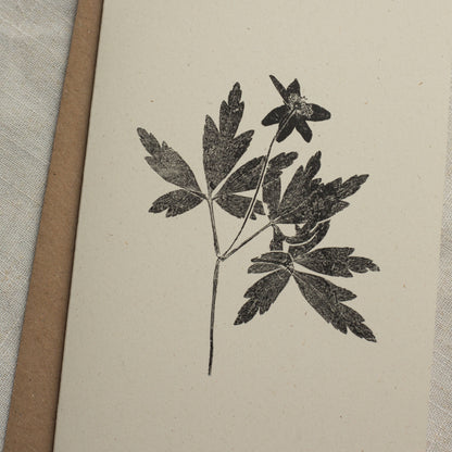 Wood Anemone Flower Greeting Card