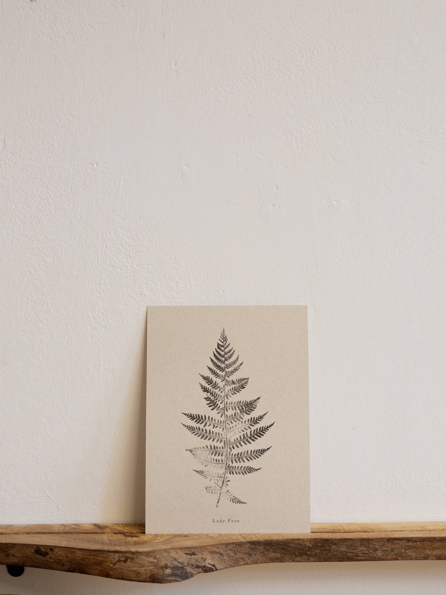 Lady Fern A5 Botanical Art Print