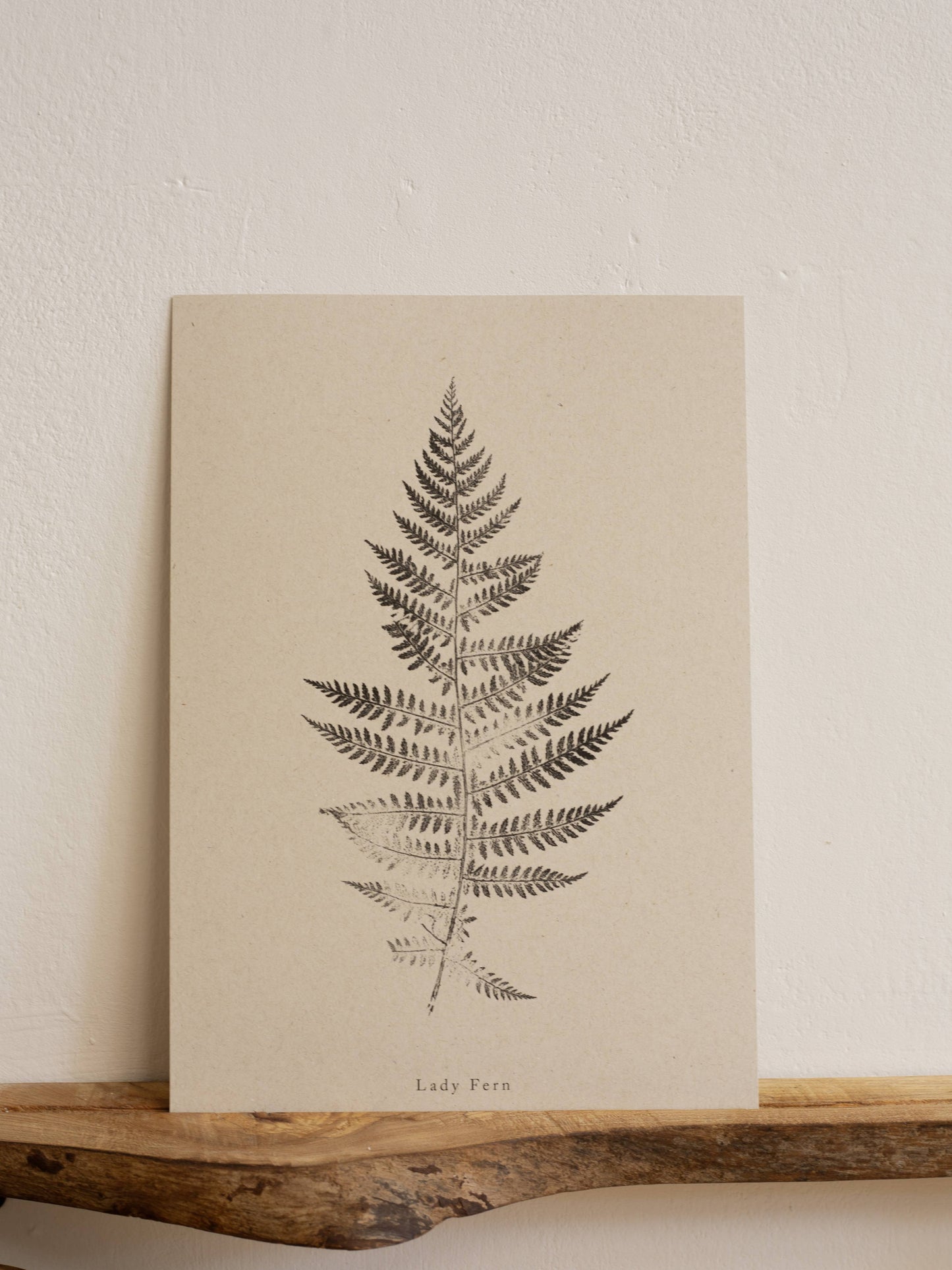 Lady Fern A5 Botanical Art Print