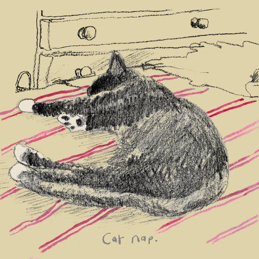 Cat Nap Card