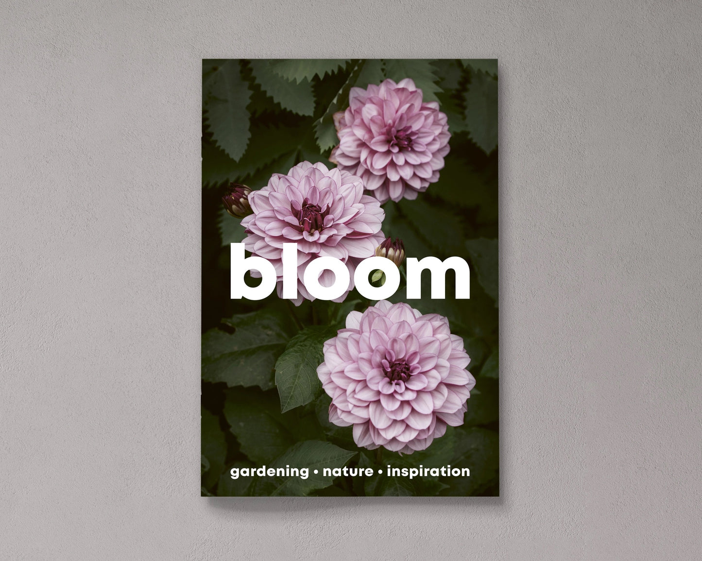 Bloom Magazine