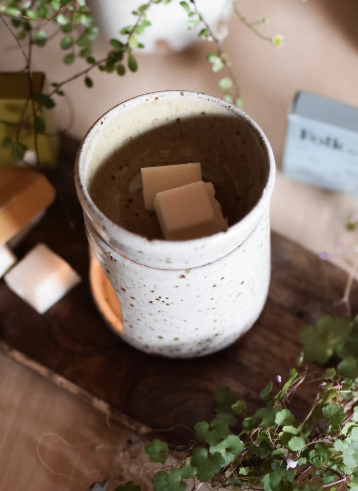 Oil Burner