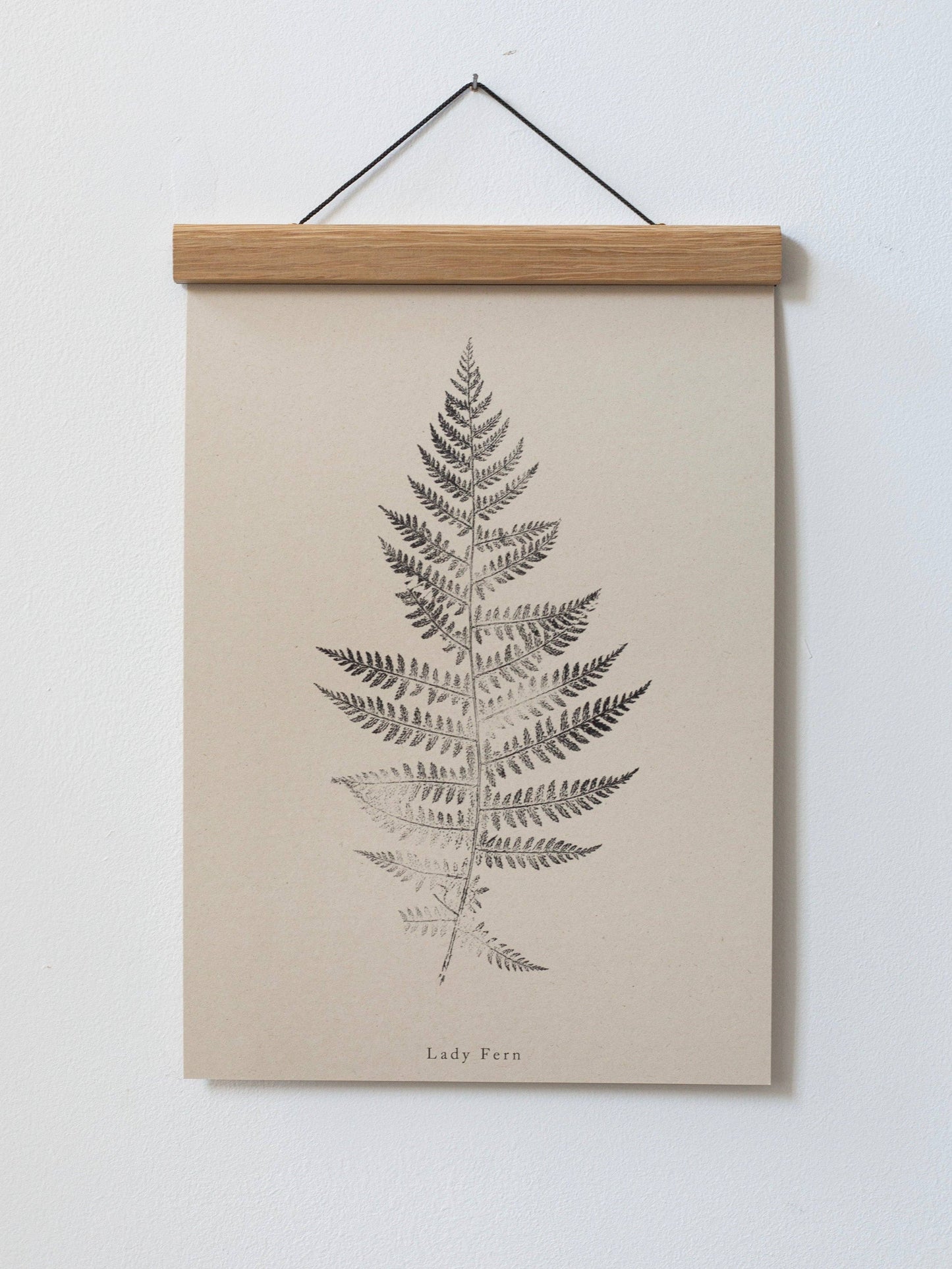 A4 Botanical Art Print - Lady Fern 