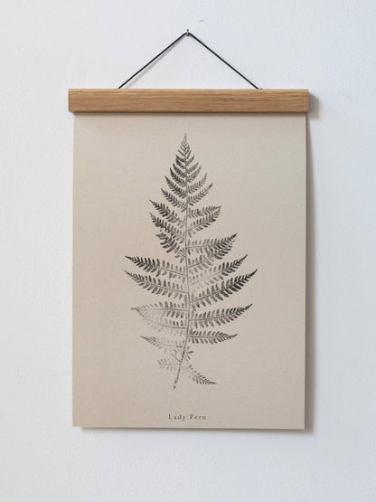 Lady Fern A5 Botanical Art Print