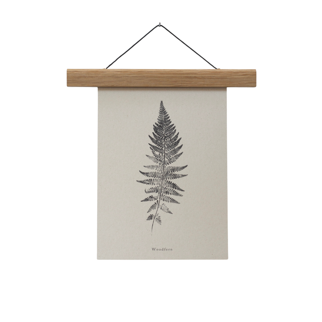 Woodfern A4 Botanical Art Print