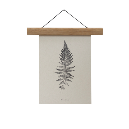 Woodfern A4 Botanical Art Print