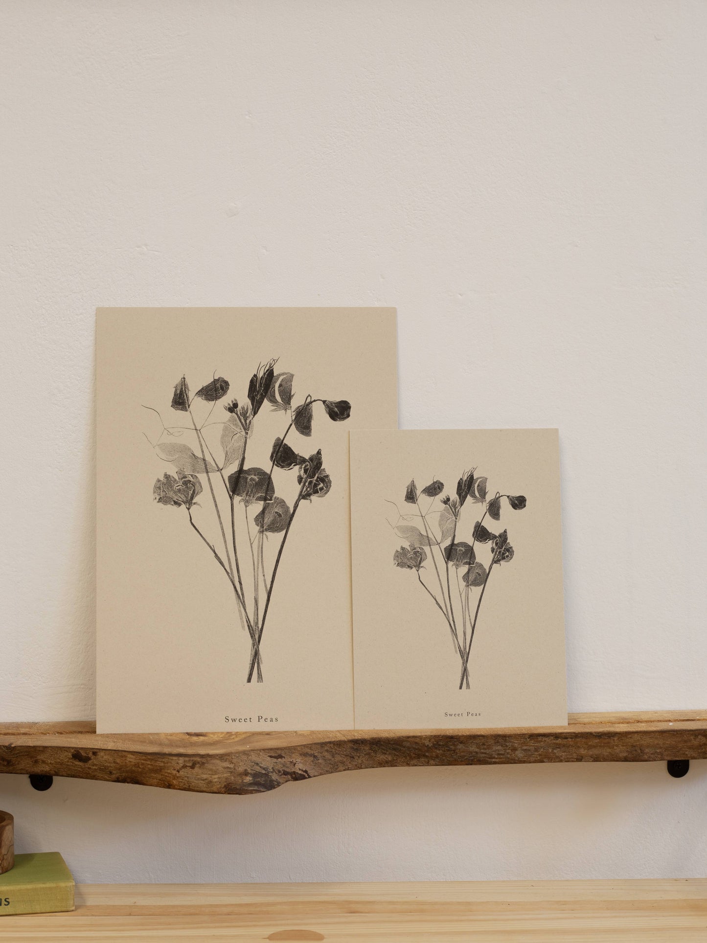 Sweet Peas A5 Botanical Art Print