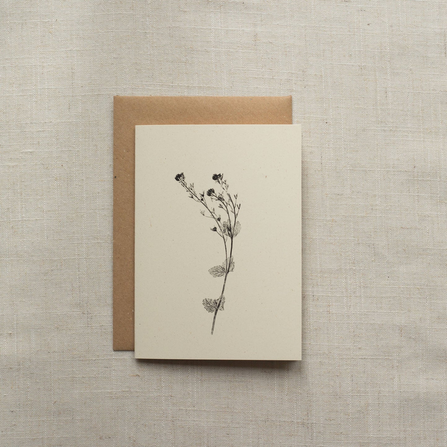 Speedwell Flower Card