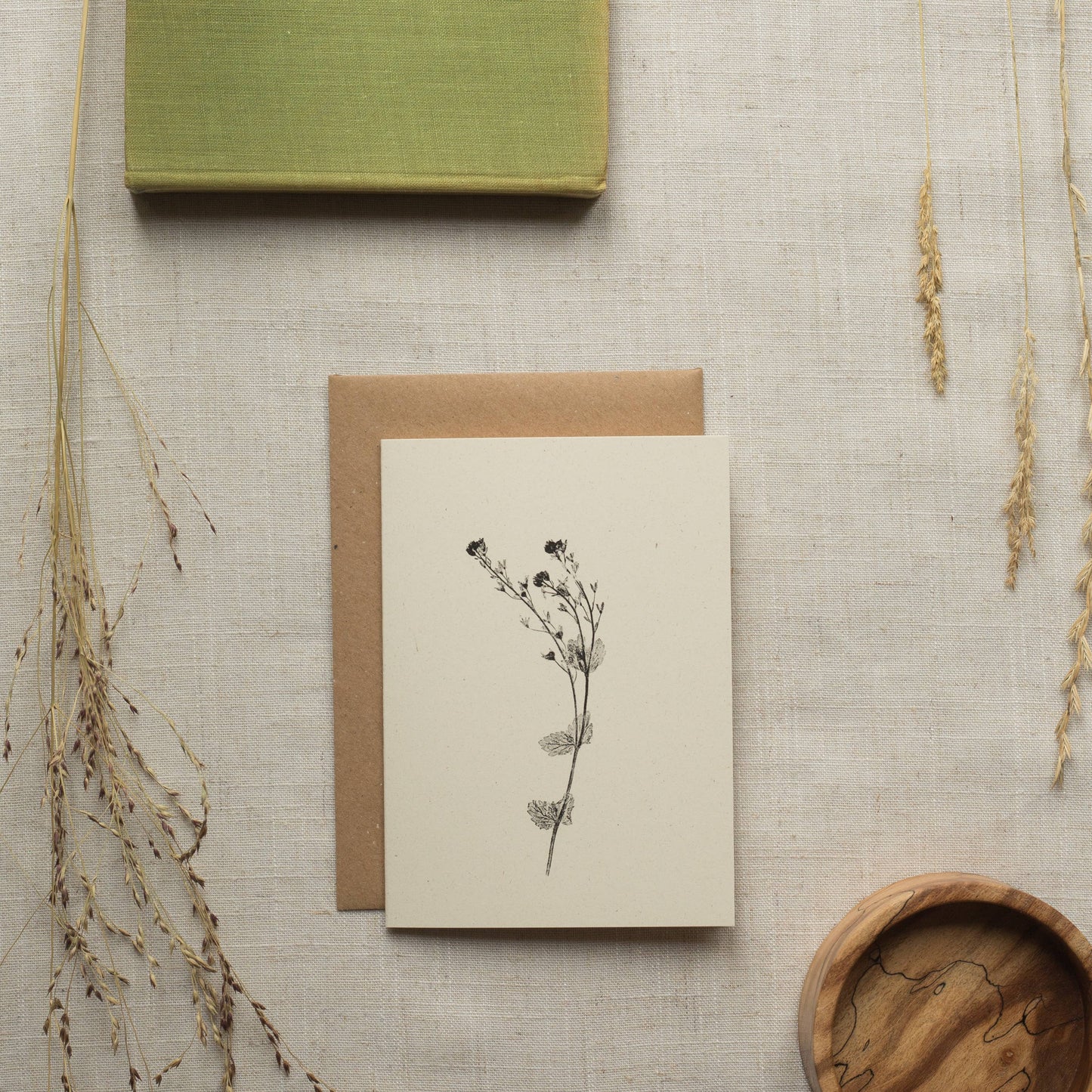 Speedwell Flower Card