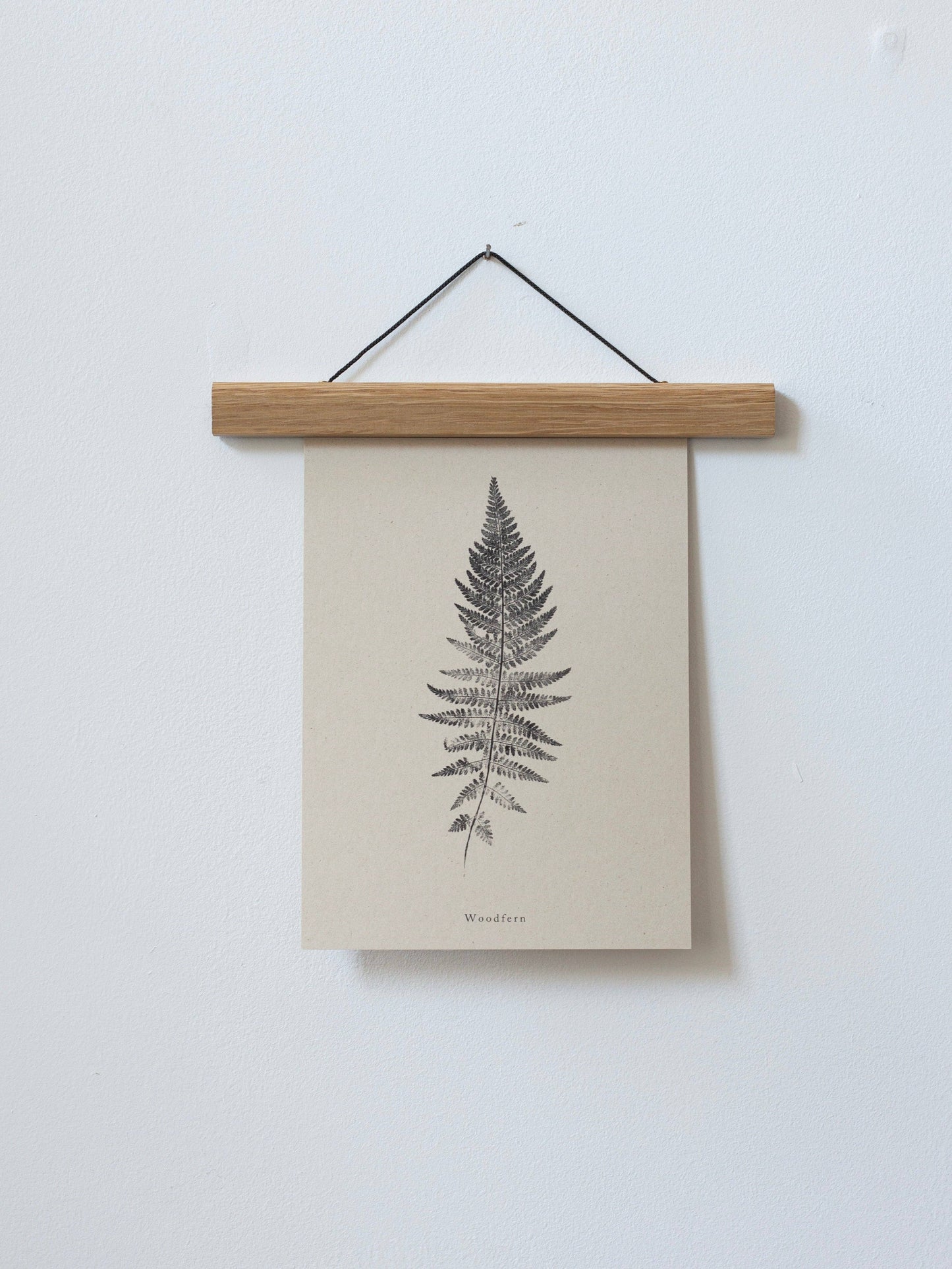 Woodfern A4 Botanical Art Print