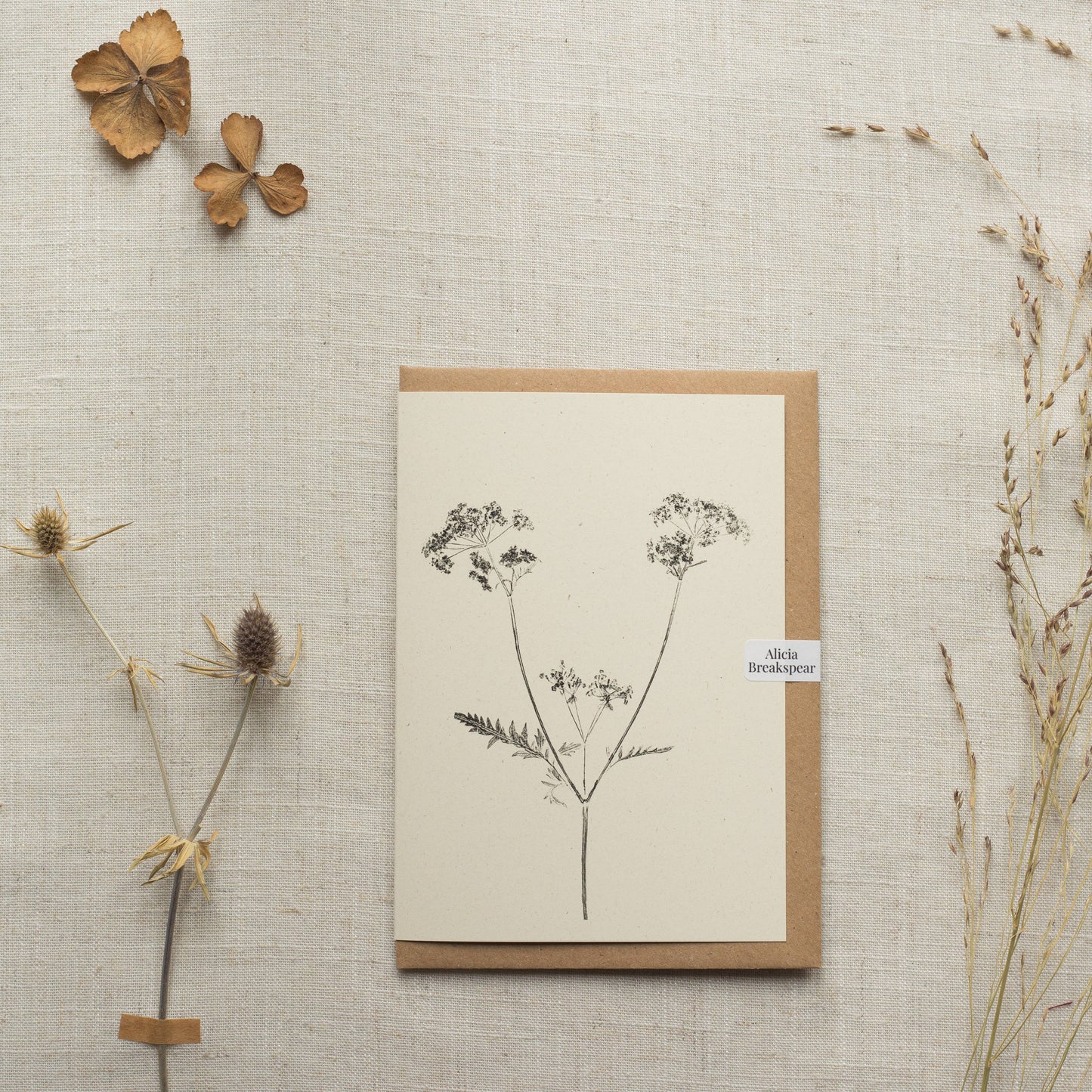 Cow Parsley Botanical Greeting Card