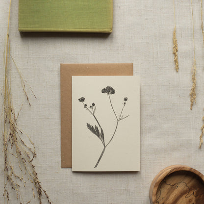 Meadow Buttercup Flower Card