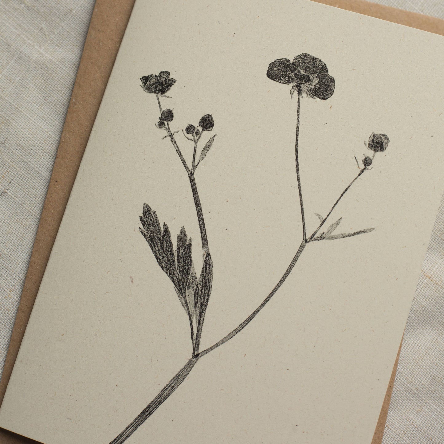 Meadow Buttercup Flower Card