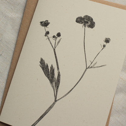 Meadow Buttercup Flower Card