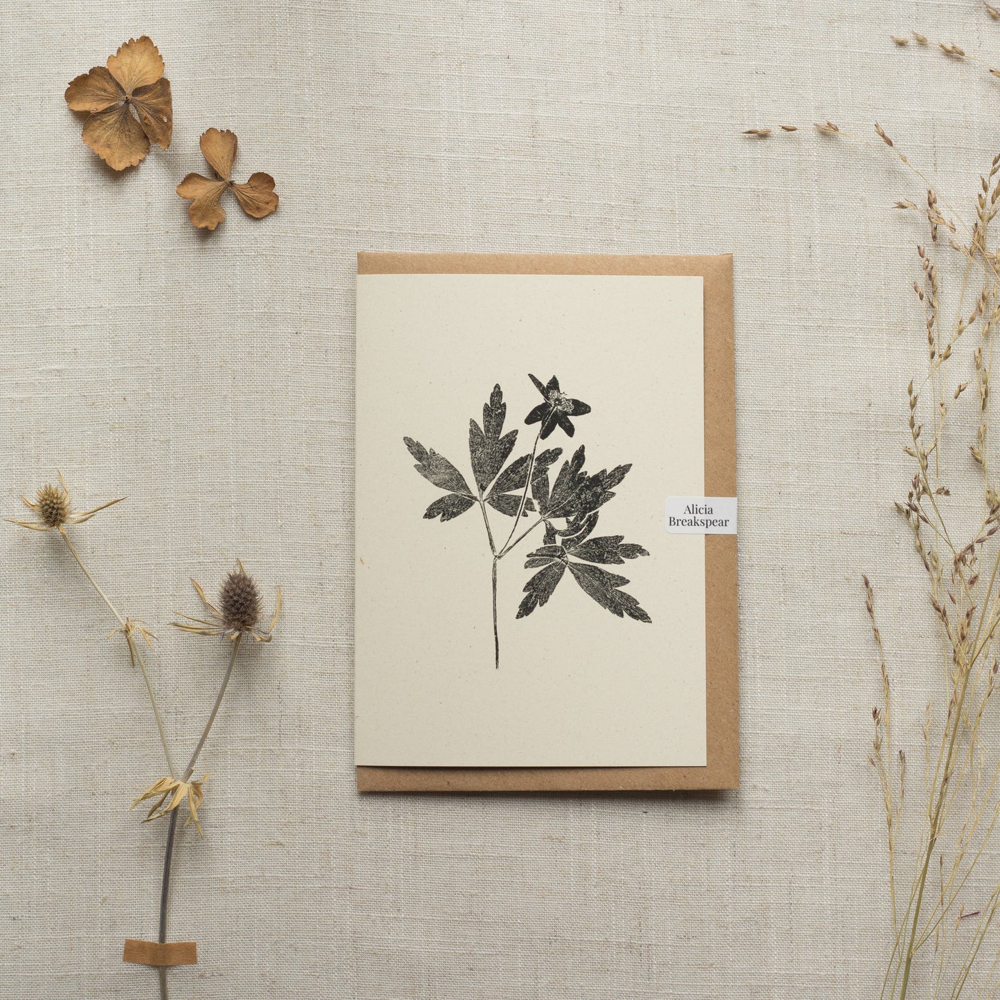 Wood Anemone Flower Greeting Card
