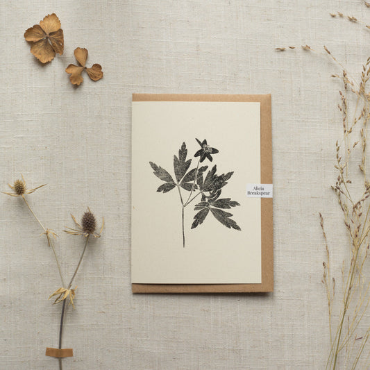Wood Anemone Flower Greeting Card