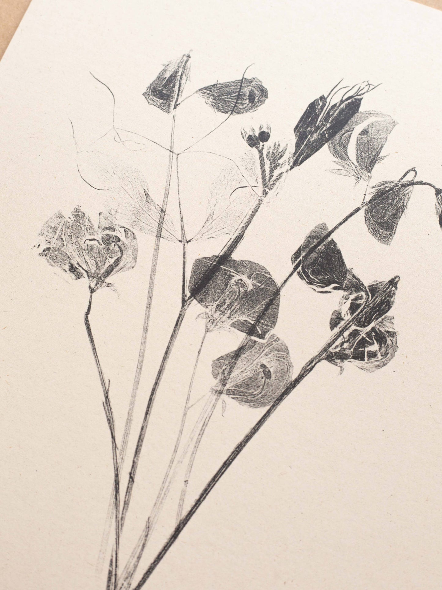 Sweet Peas A5 Botanical Art Print