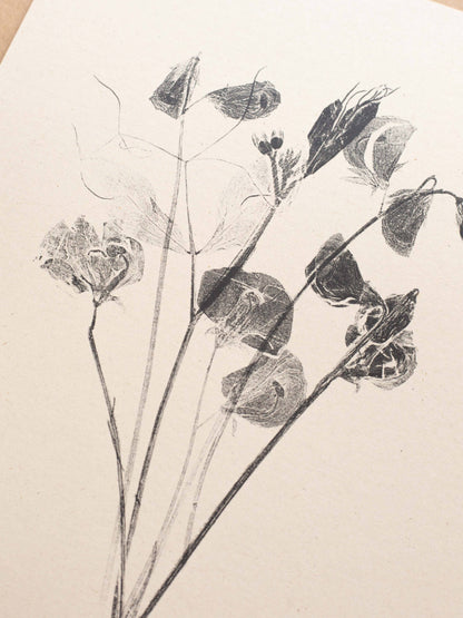 Sweet Peas A5 Botanical Art Print