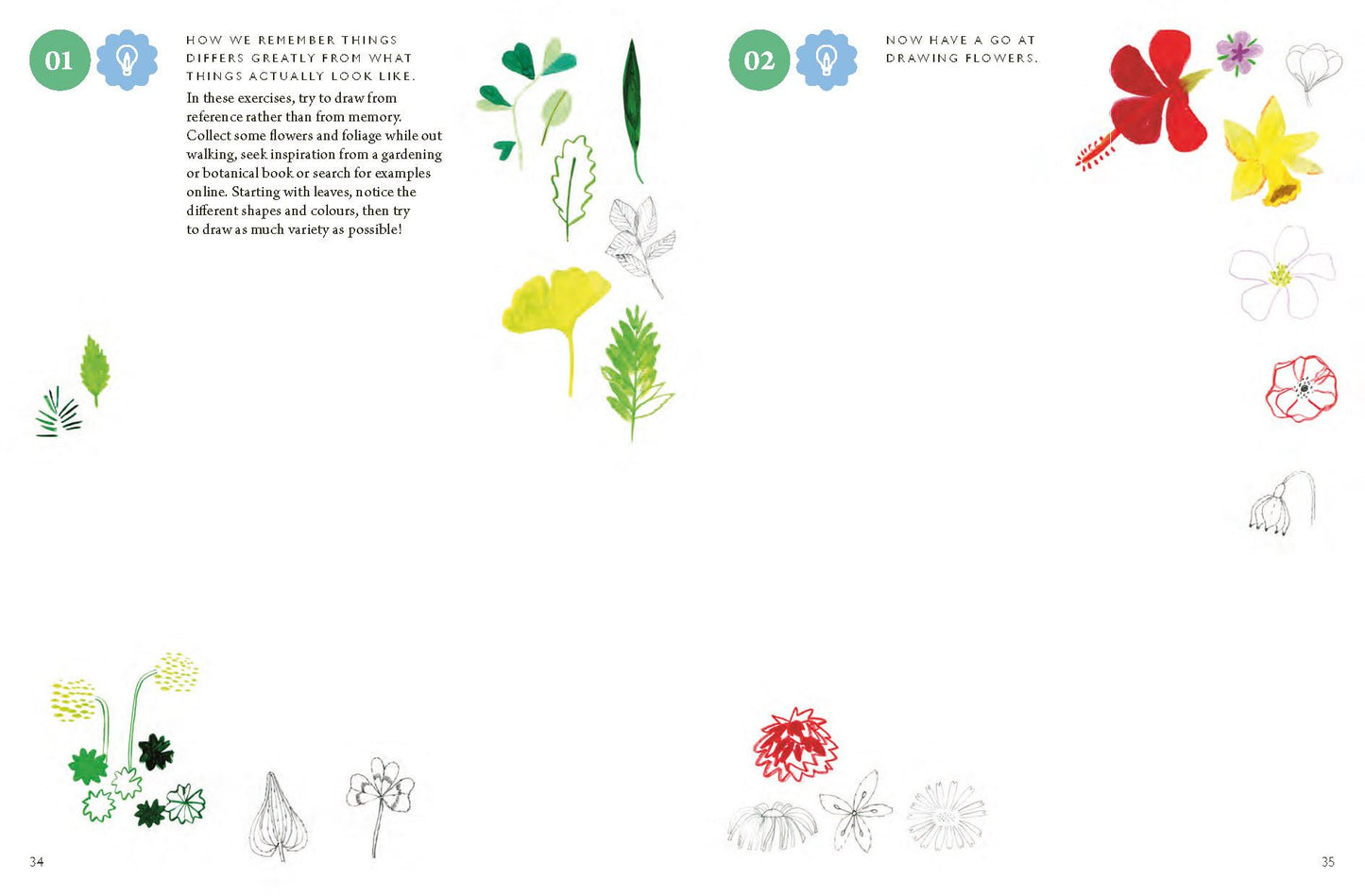 Drawing Nature: 100 Prompts & Projects