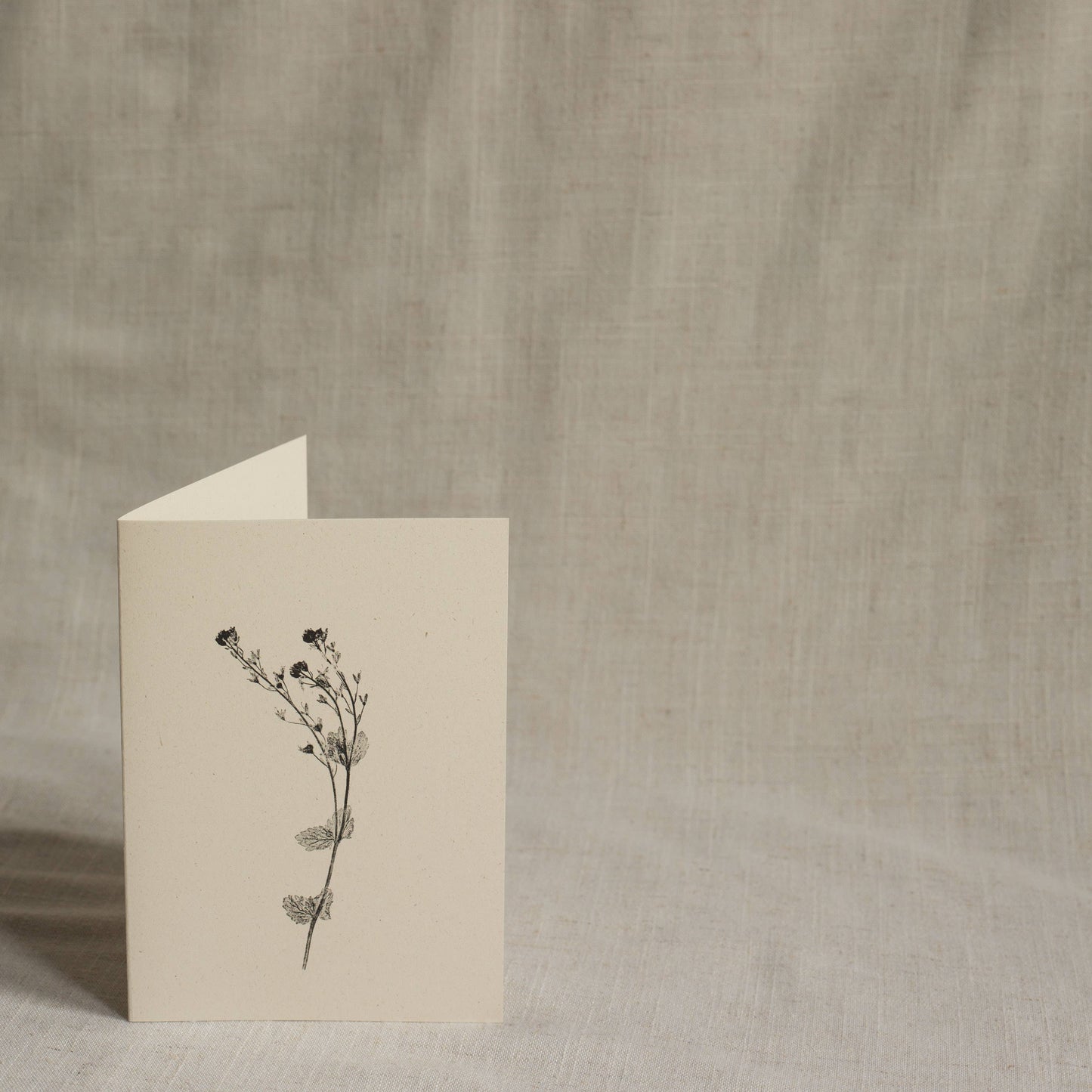 Speedwell Flower Card