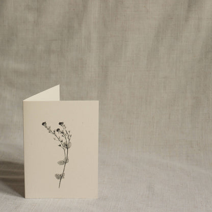 Speedwell Flower Card