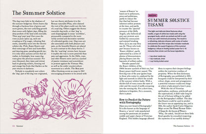 Ebb & Flow: A Guide to Seasonal Living