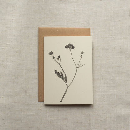 Meadow Buttercup Flower Card