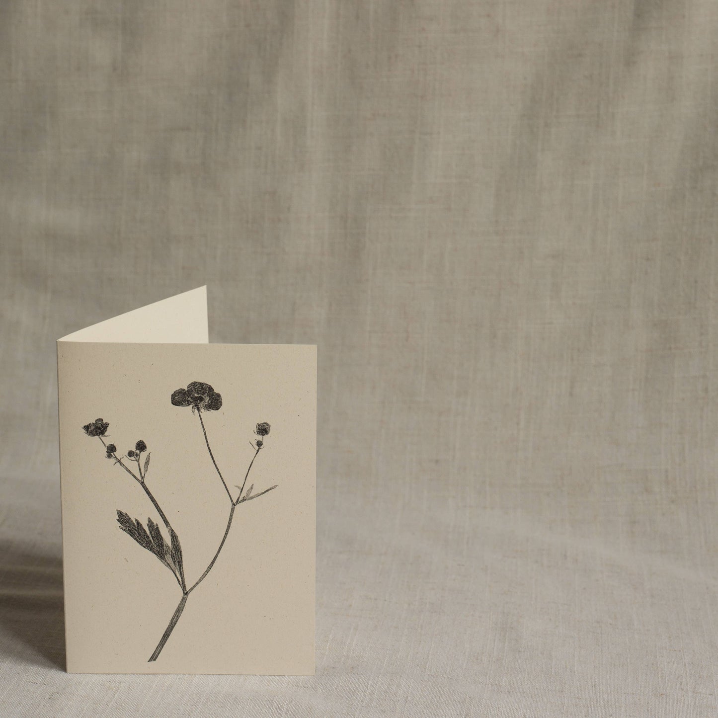 Meadow Buttercup Flower Card