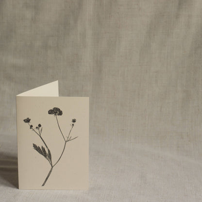 Meadow Buttercup Flower Card
